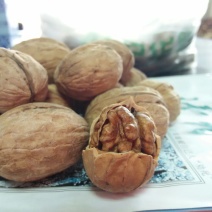 薄皮核桃