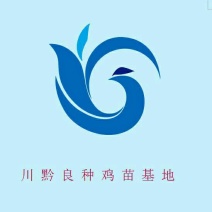 鸡苗1斤以下