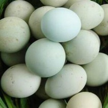 土鸡蛋食用50g以下