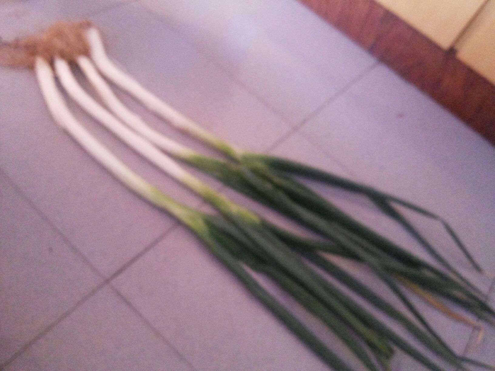 鸡腿与大葱的处理过程