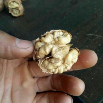 薄皮核桃30mm以上去皮干