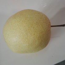 礼泉酥梨550~600g纸加膜