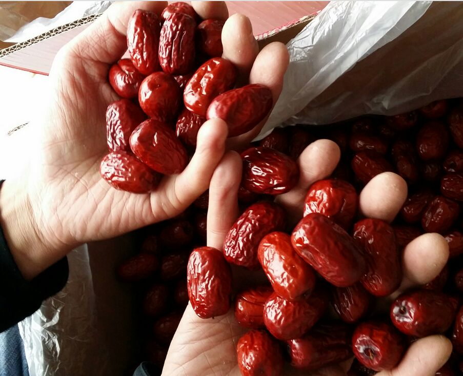 地图展示新疆阿拉尔市与若羌县的地理位置,标注两地所处的塔里木盆地不同区域,配以气候数据图示如年均温、降水量、日照时数等,突出生态差异 阿拉尔与若羌地理位置对比图