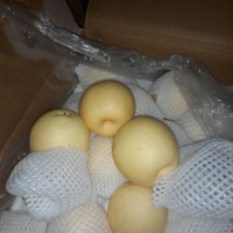 皇冠梨350~400g纸袋