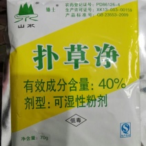 扑草净40%扑草净除草除草剂