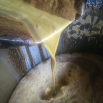 菜油四级