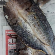 鱼干