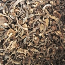 榛蘑头，质量好，颜色好