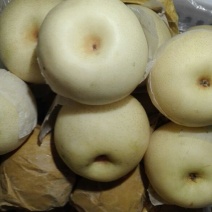 黄金梨550~600g纸箱