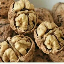 纸皮核桃30mm以上去皮干