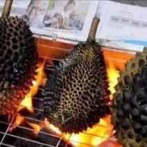 猫山王