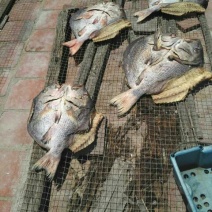 鱼干