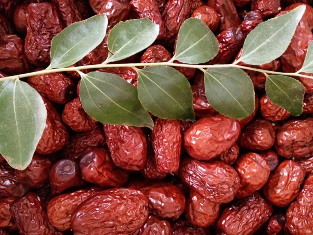 和田大枣切开特写