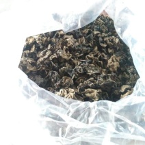 黑木耳一级