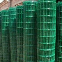 荷兰网50*50mm