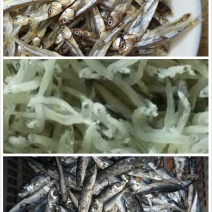 银鱼干包装