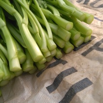 蔬菜