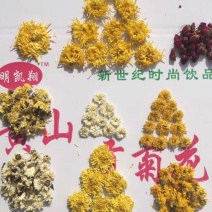 菊花茶