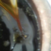 菜油