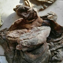 羊毛