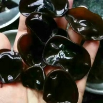 黑木耳一级