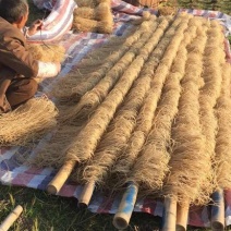 红薯粉丝