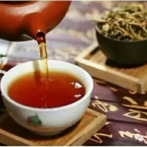百年大树茶特级