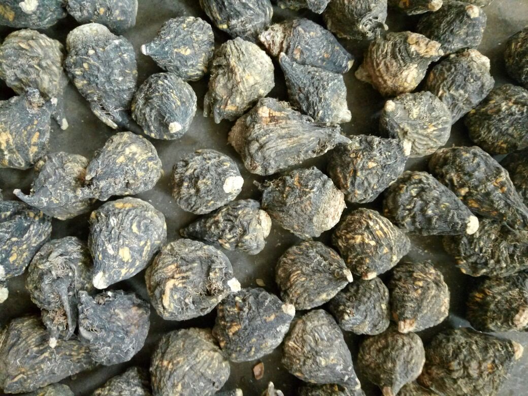 黑玛卡原根与粉末对比图