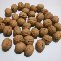 香玲核桃30mm以上去皮