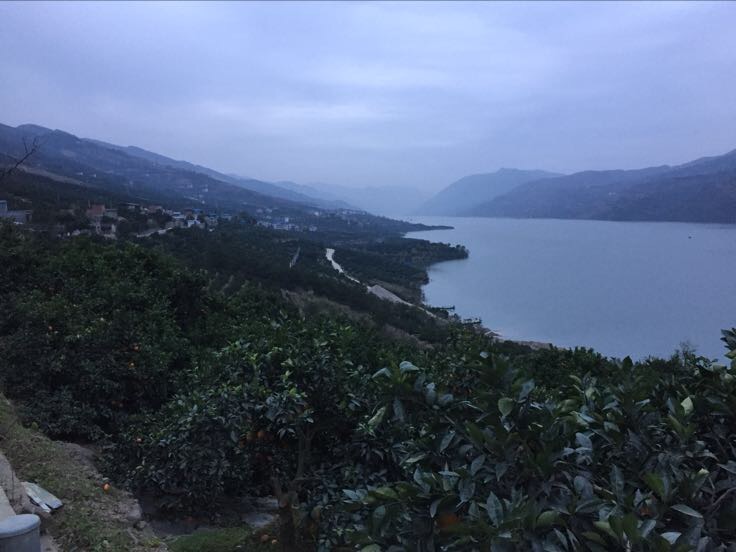 一张展示重庆市奉节县地理位置的地图,突出其位于长江三峡库区腹地的区位特征;地图中标注主要乡镇如永乐镇、白帝城街道、草堂镇等柑桔主产区域;背景呈现连绵起伏的丘陵山地与蜿蜒的长江水系,体现‘高山云雾出好果’的生态环境 奉节县地理区位与地形地貌示意图