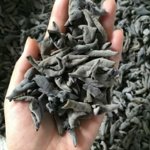 黑木耳二级