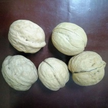 新疆核桃去皮干