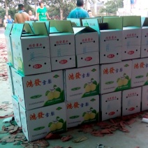 雪花梨250~300g纸箱