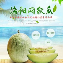 网纹瓜2斤以上椭圆形
