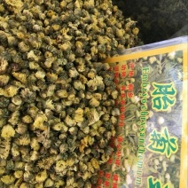 菊花茶