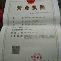 西州蜜瓜3斤以上长圆形