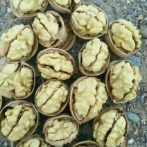 新疆185核桃去皮干