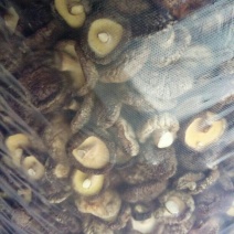 干香菇3~3.5cm