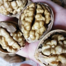 薄皮核桃去皮干