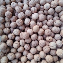绵核桃去皮干