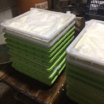 豆腐