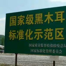 秋耳特级