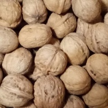 薄皮核桃30mm以上去皮干