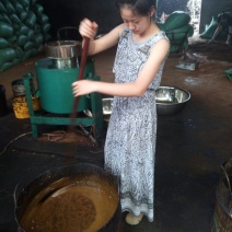 油菜籽2