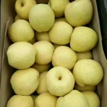 砀山梨200~250g纸箱