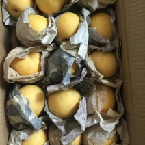 长把梨200~250g纸袋