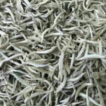云南普洱市景谷县白毫银针，蜜花香，口感清甜。茶农直供。