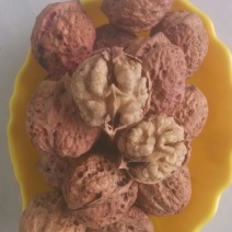 薄皮核桃
