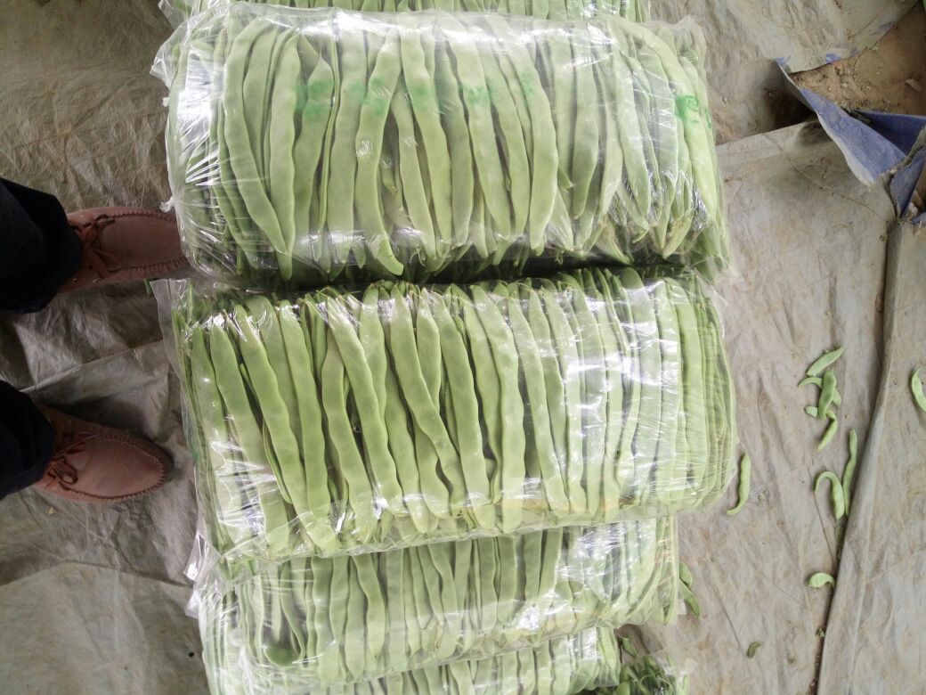 超市货架上陈列的扁豆包装袋,清晰标注品牌和生产日期 超市货架上的扁豆包装