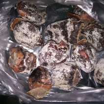 柿饼1~2两